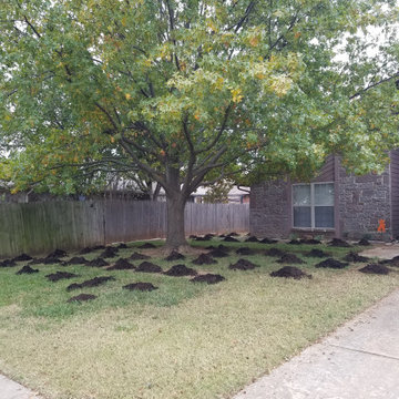 Mowing & Turf Services