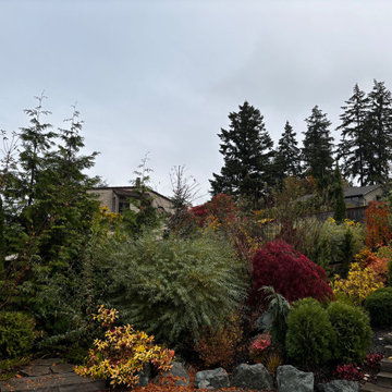 Puget Sound Water View