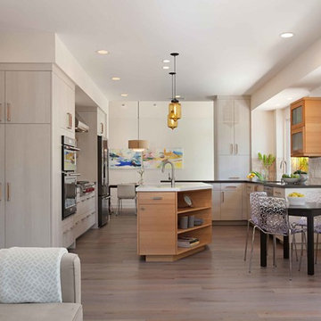 European Minimalism in Rancho Peñasquitos