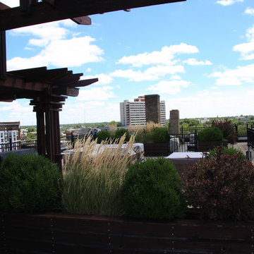 Wittern Roof top Garden