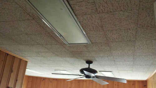 Please Please Help Painting Ceiling Tile Ugly Box Fixtures