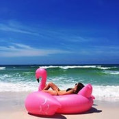 Julia Champagne's photo