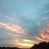 Foto von Tracie Allen