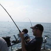 Shane Cohen's photo