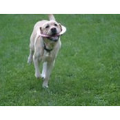 Kathryn Kiiffner's photo
