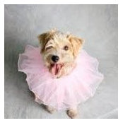 Lisa Burningham's photo