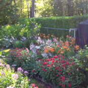 S E Olsen's photo