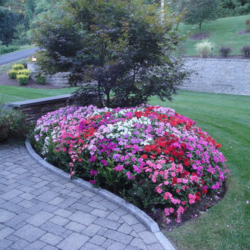 front stoop/ annual plantings