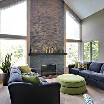 Rockford Fireplace Remodel