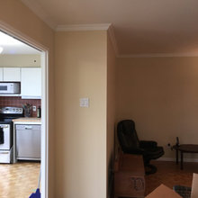 Condo Renovation Before Pics