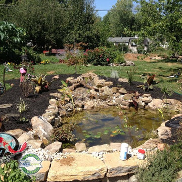 KOI Pond, Backyard Pond & Small Pond Ideas for your Kentucky Landscape