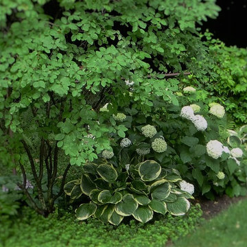 Gardens