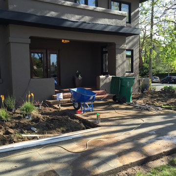Lose the Lawn in Piedmont California