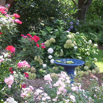 Garden in Pawleys Island, SC
