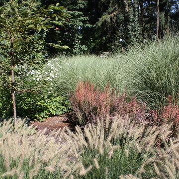 Grasses and Movement