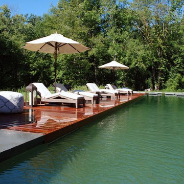 BioNova® Natural Swimming Pool - Danbury, CT