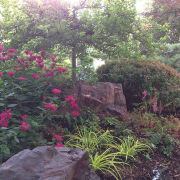 Shade Gardens