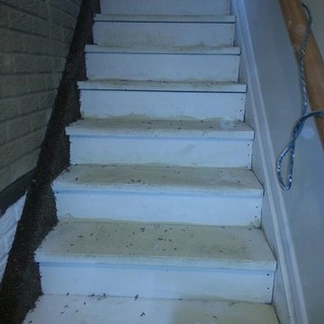 Staircase Carpet & Runners