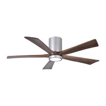 Fans