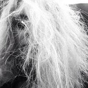 Ondine Jung's photo