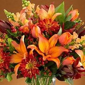 Kathy Murdock's photo