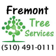 Fremont Arborist Tree Services