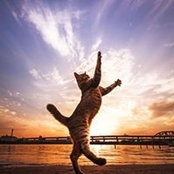 Максим Гурин's photo