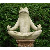 Gail Kreitzer's photo