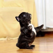 Kerry Hoeft's photo