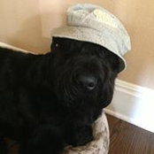 Candice Corby's photo