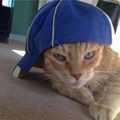 Maria Rosa's photo