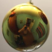 Elena Vaneeva's photo