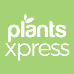 Plants Xpress