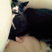 Anna White's photo