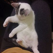 Neagoe Raluca's photo