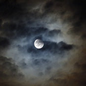 Sue Anne Pate's photo