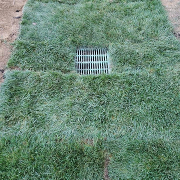 Drainage