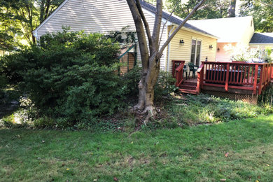 Fairfax Drainage and Hardscape