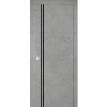 French Pocket Door 24 x 84 with | Planum 0016 Concrete with  | Kit Trims Rail