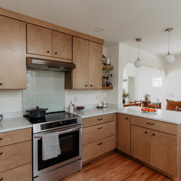 Midcentury Modest Kitchen