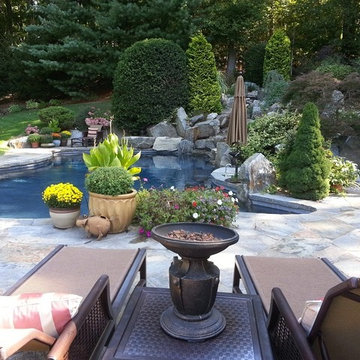 Darien Connecticut freeform poolscape