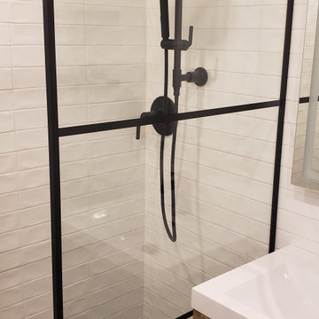 New Shower (upgrade form old bathtub)