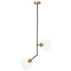 Black And Brass Finish And Clear Glass 2-Light Pendant