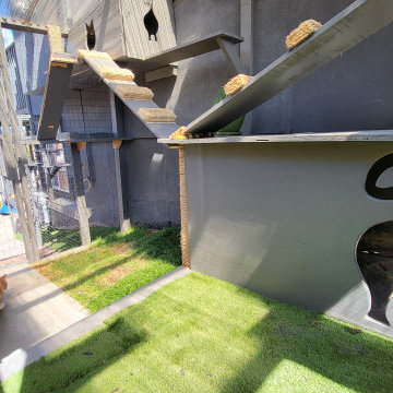 The Purr-fect Playground✨