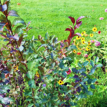 Before & After Master Gardener Landscape Makeover Lawn Reduction & Rain Gardens