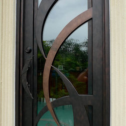 Contemporary Single Iron Door with Dog entry - Windows And Doors