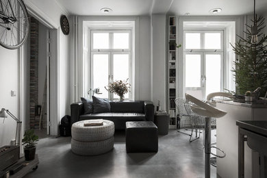 Design ideas for a scandinavian living room in Stockholm.