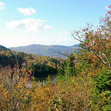Fall Foliage Tour: Leaf-Peeping Fun Through Vermont