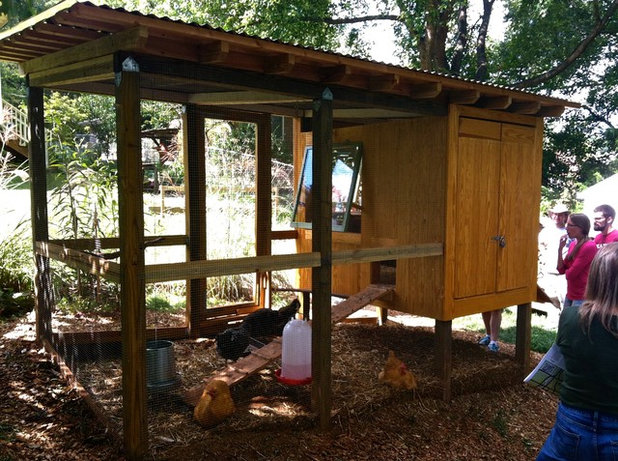 4 Farm Fresh Chicken Coops In Urban Backyards