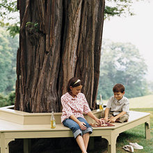 Landscape: Garden Furniture